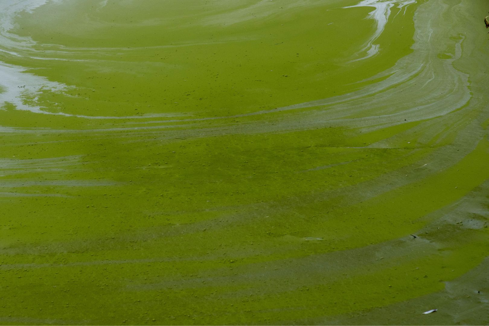 Como Evitar Acidentes com Gases Toxicos da Fossa